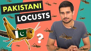 Locust Attack in India  Explained by Dhruv Rathee [upl. by Nnoryt]