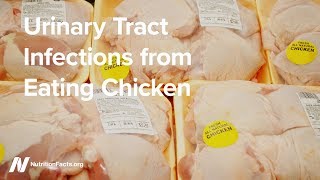 Urinary Tract Infections from Eating Chicken [upl. by Cassiani]