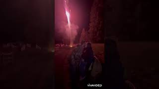 Proposal to my girlfriend New Year’s Eve 2024 firework pop the q [upl. by Asyl]