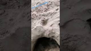 Digging a hole in Malibu [upl. by Afital]