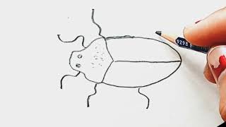 How To Draw A Cockroach  Cockroach Drawing For Kids  Cockroach Drawing Tutorial [upl. by Hniht81]