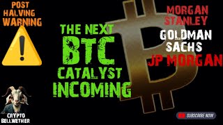 Bitcoins next leg up is incoming  Wall Street Retail Catalyst to pump BTC mainstream bitcoinnews [upl. by Ttenyl202]