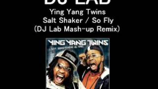 Ying Yang Twins  Salt Shaker DJ Lab Mashup Remix [upl. by Shank]