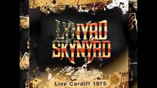 Lynyrd Skynyrd Simple Man Live Cardiff 1975 [upl. by Thenna]