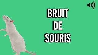 bruit de SOURIS 🐁 Chicotement  Couinement [upl. by Sparrow168]