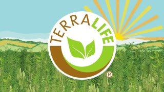 DSV TerraLife – Do you know the real cost of not having a cover crop [upl. by Berthe211]