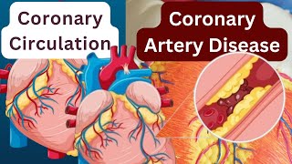 Coronary Circulation and Coronary Artery Disease CAD Pt3 [upl. by Theurer]