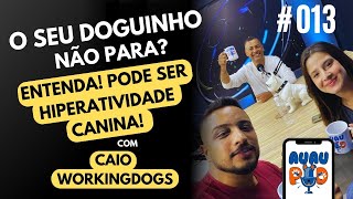 HIPERATVIDADE CANINA O QUÃO PREJUDICIAL PODE SER PARA SEU CACHORRO 013 [upl. by Alan510]