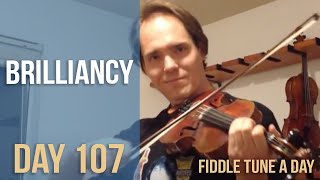 Brilliancy  Fiddle Tune a Day  Day 107 [upl. by Anauqal]