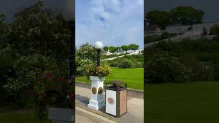 Beautiful Lilacs In Bloom  Mackinac Island Lilac Festival mackinacisland lilac flowers [upl. by Amzaj]