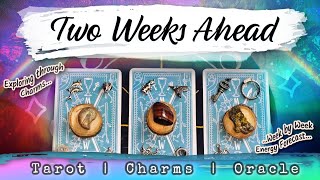 🌈 Pick A Card 🔮 ✶ Your Next Two Weeks ✶ 🦋 Love Career Truth amp Purpose ✶ Bits amp Bobs Div [upl. by Delwin]