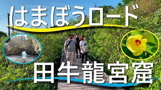 伊豆下田、「はまぼうロード」と「田牛龍宮窟」を歩く【下田東急ホテルウォーキング部】活動報告 2021年7月 Izu Shimoda Kisami amp Toji Walking course [upl. by Mauretta40]