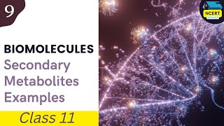 Secondary Metabolites Examples  Biomolecules Class 11 Biology Chapter 9 ncertdecodebiology [upl. by Ednil358]