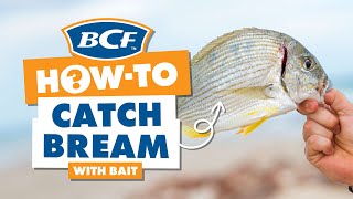 Catch Bream with Bait  BCF How To [upl. by Aesoh480]