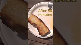 Crispy Pork Belly Grilled With The Sun  DIY Solar Cooker shorts [upl. by Meehar]