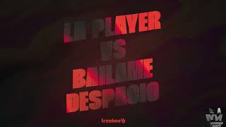 La Player X Bailame Despacio Mashup🐯 Treekoo [upl. by Ahseyi707]