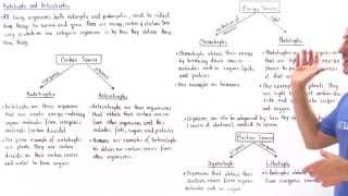 Autotrophs and Heterotrophs [upl. by Getraer906]