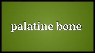 Palatine bone Meaning [upl. by Nariko]