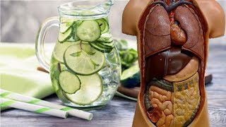 See What Happen When You Drink Cucumber Water Daily  Cucumber Water Health Benefits and How to [upl. by Mike]