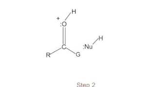 Mechanism acidcatalyzed nucleophilic addition to CO [upl. by Erot531]