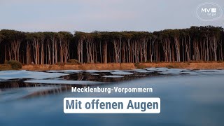 Sehnsucht nach Wasser und Weitblick  MecklenburgVorpommern  Das Urlaubsland [upl. by Hughes]