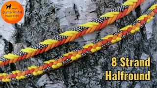 8 Strand Halfround  Paracord Leine  Bunter Pudel ParacordampCo [upl. by Saretta]