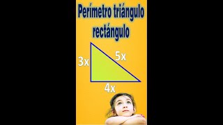 ÁREA Y PERÍMETRO DE UN RECTÁNGULO [upl. by Demott]