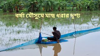 Fishing Scene In Monsoon Season  বর্ষা মৌসুমে মাছ ধরার দৃশ্য  VILLAGE LIVING LIFE fishing [upl. by Rocray]