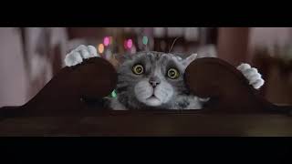 Sainsburys Christmas Advert  2015  Mogs Christmas Calamity [upl. by Nitsugua]