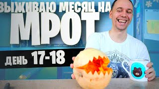 18 день😱 ВЫЖИВАЮ на МРОТ ВСЕ ПРОПАЛО [upl. by Manara]