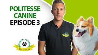 Comment calmer un chien agité sans raison [upl. by Ablasor]