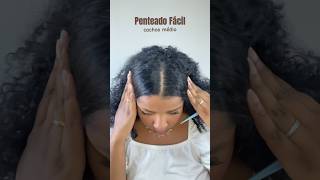 Penteado muito fácil cabelo cacheadocrespo médio [upl. by Ruthy]