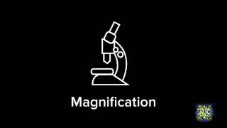 How to calculate magnification [upl. by Darum]