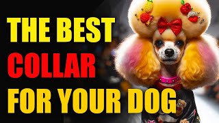 THE BEST COLLAR FOR YOUR DOG [upl. by Ornas]