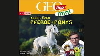 GEOlino Mini Hörbuch Alles über Pferde amp Ponys Hörprobe [upl. by Eldnar]