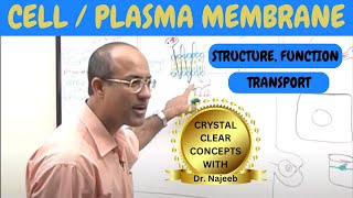 Cell or Plasma Membrane  Structure  Function amp Transport🧬 [upl. by Parsaye184]