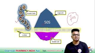 MECHANISM OF ACTION OF STREPTOMYCIN  PHARMACOLOGY [upl. by Htenaj]