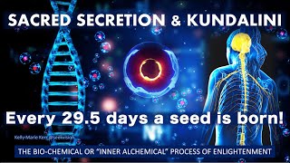 Kundalini Energy Sacred Secretion INFO 2022  SUPER CONSCIOUSNESS THE BIOCHEMISTRY of Inner Alchemy [upl. by Aenehs561]