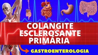 COLANGITE BILIAR PRIMÁRIA  O QUE É CAUSAS SINTOMAS DIAGNÓSTICO E TRATAMENTO  GASTROENTEROLOGIA [upl. by Kinom]