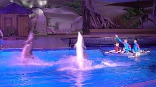 Dolfijnen show Dolphin Bay Adventure Boudewijn Seapark 2016 [upl. by Gellman]