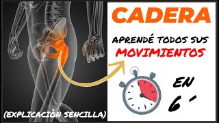 🥇 CADERA y sus MOVIMIENTOS ARTICULARES biomecánica anatomía  Articulacion Coxofemoral [upl. by Enidlareg]