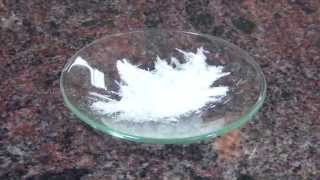 Recrystallization of Benzoic acid using water [upl. by Omoj]