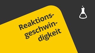 Reaktionsgeschwindigkeit und Reaktionsordnung ein Überblick  Chemie  Physikalische Chemie [upl. by Shandeigh]