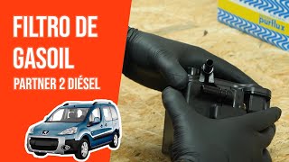 Cómo cambiar el filtro de gasoil Partner 2 16 HDI ⛽ [upl. by Channing]