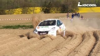 Meulders and rally fans help  Rallye de Wallonie 2017 HD [upl. by Wanids]