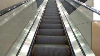 Kone Double File Escalators  Dillards Mall at UTC Sarasota FL [upl. by Ameluz298]