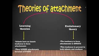 Bowlbys Monotropic Theory of Attachment [upl. by Oicanata]