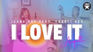 Icona Pop Charli XCX  I Love It Studio Acapella [upl. by Saiff]