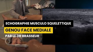 GENOU FACE MEDIALE  Echographie Musculo Squelettique par le Dr Brasseur [upl. by Guntar]