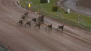 Åbytravet 231228  Lopp 8 [upl. by Thenna861]